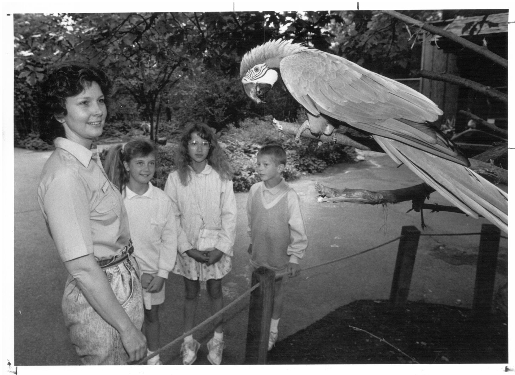 Lincoln Children's Zoo 50th Anniversary